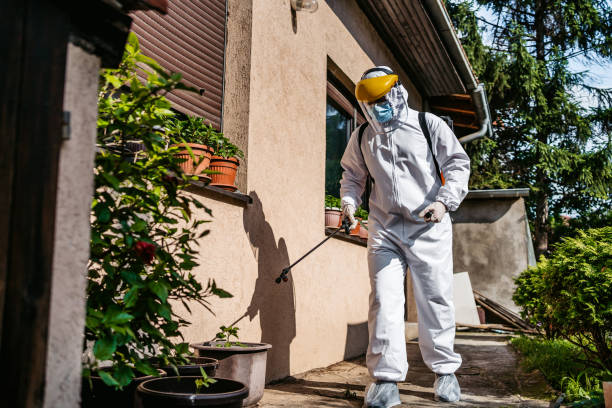 Best Local Pest Control Services  in Tucker, GA