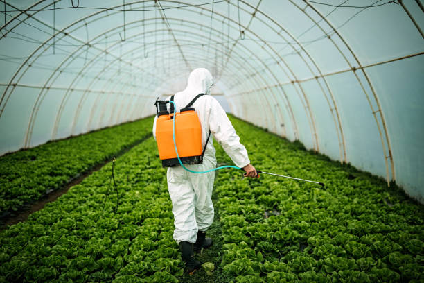 Best Affordable Pest Control Services  in Tucker, GA