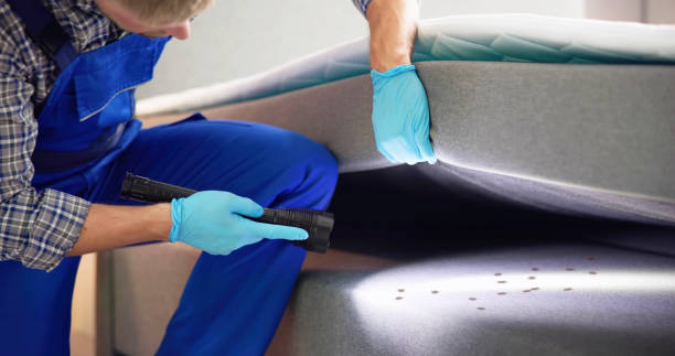 Best Pest Control Near Me  in Tucker, GA